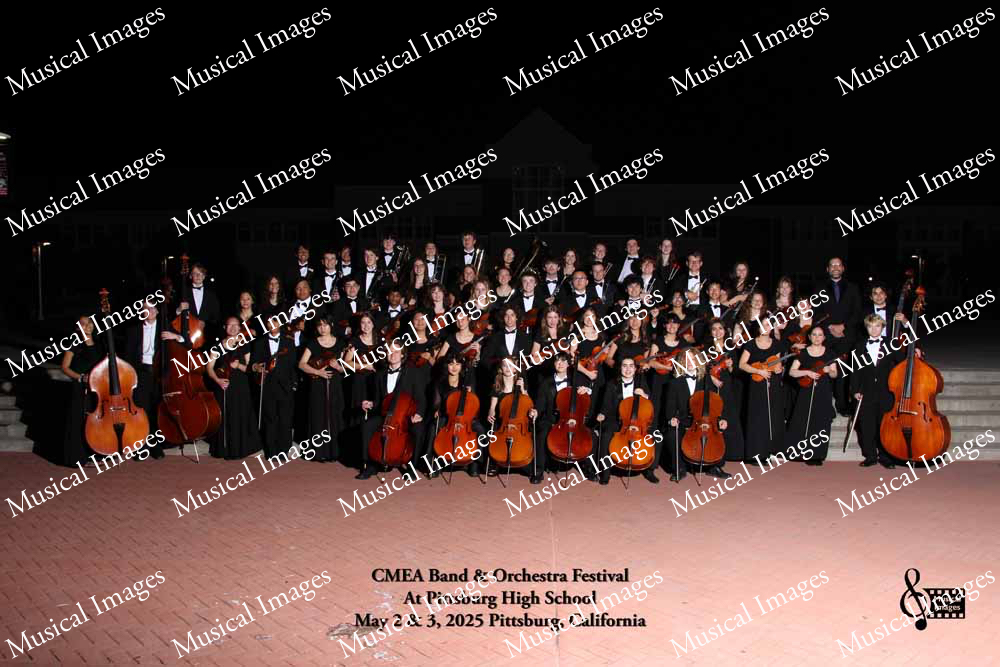 Musical Images